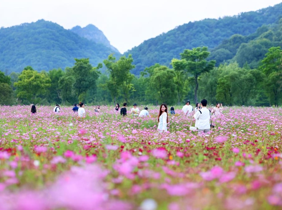 봉사업, 경제의 안정적 장원한 발전 견인하는 최대 산업으로